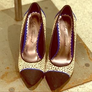 Animal Print / Blue Trim Heels
